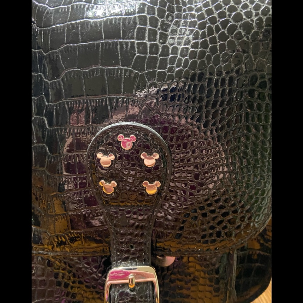 Disney purse from Disneyworld silver accents
